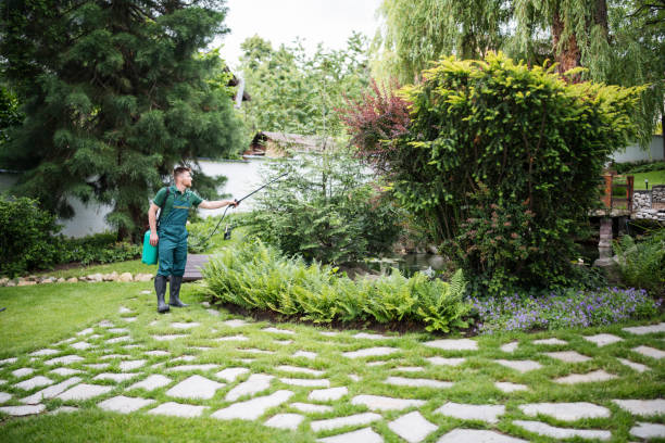 Best Ant Control Services  in Marshville, NC