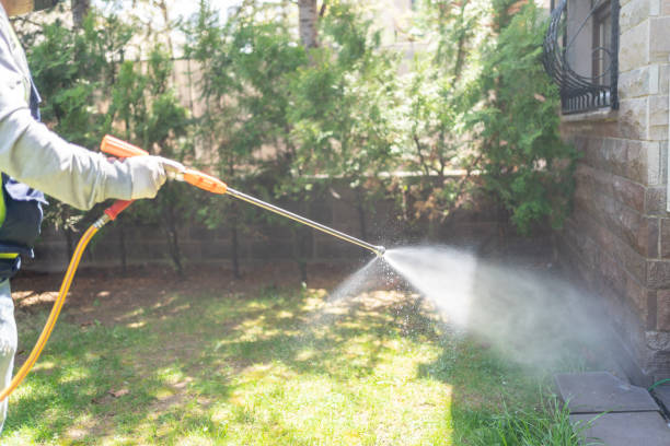 Best Local Pest Control Services  in Marshville, NC