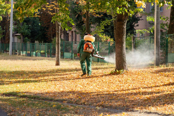 Best Termite Control Services  in Marshville, NC