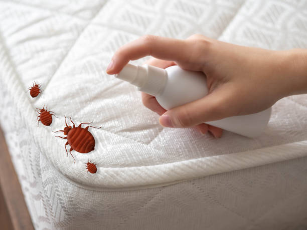 Best Mosquito Control Services  in Marshville, NC