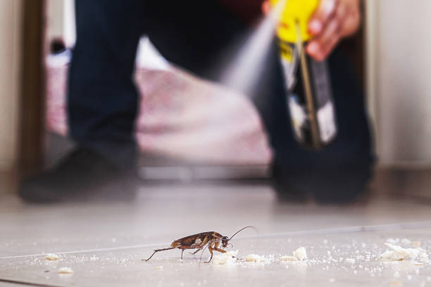 Best Rat Extermination Near Me  in Marshville, NC