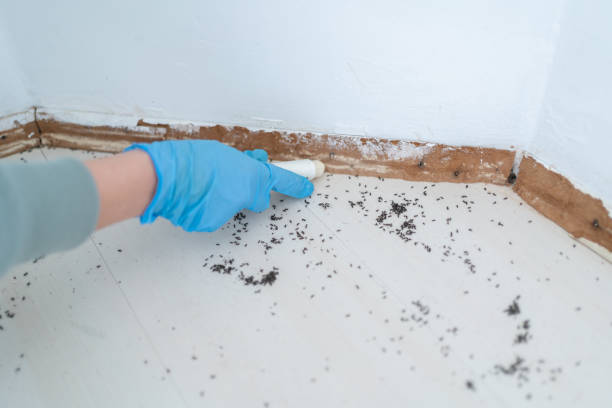 Best Commercial Pest Control Services  in Marshville, NC