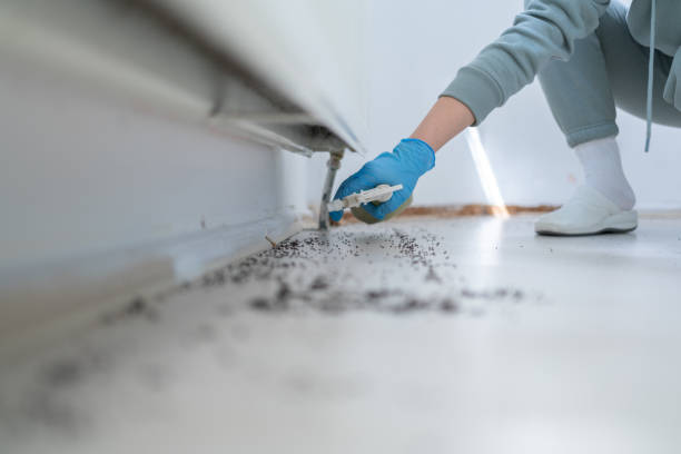 Trusted Marshville, NC Pest Control Experts