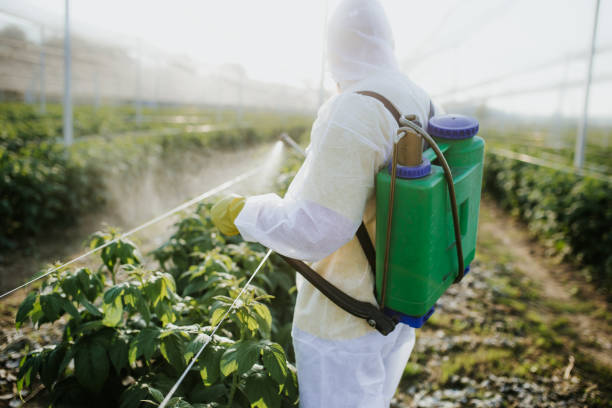 Best Cockroach Control Services  in Marshville, NC